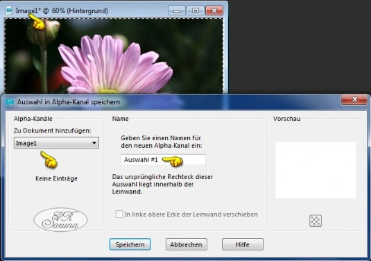 Screen PSP - Auswahl in Alpha-Kanal speichern Dialog