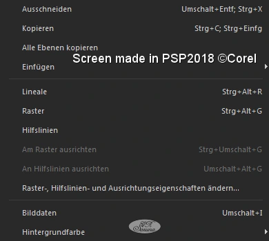 Screen PSP - Kontextmenü im Bildtitel - weitere Optionen